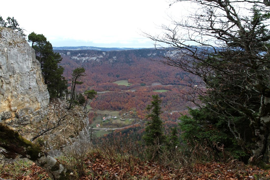 20101030_238